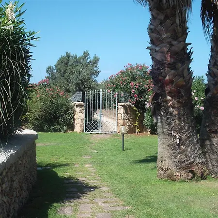 Bay * بالاو